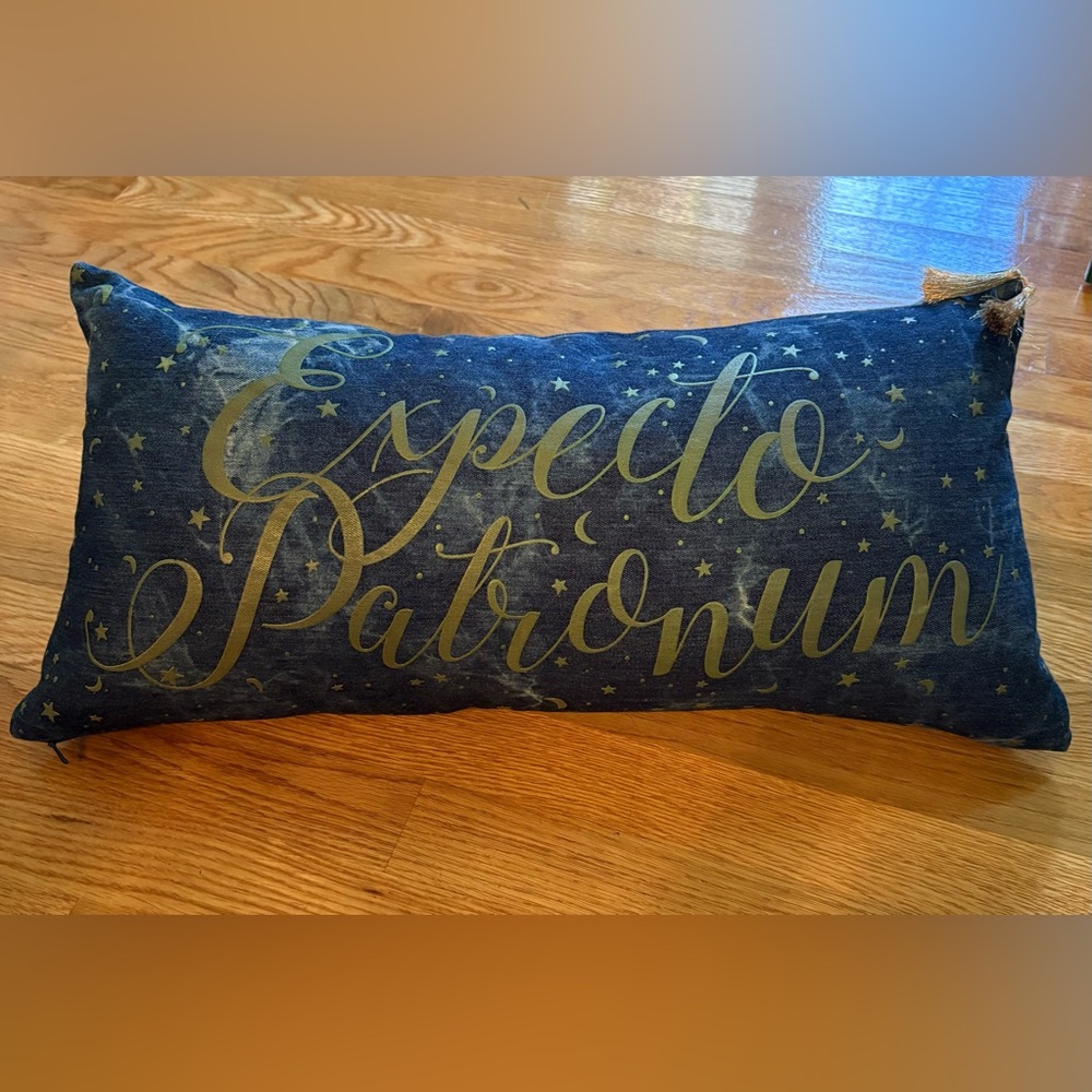 Harry Potter Pottery Barn ‘Expecto Patronum’ Decorative Pillow